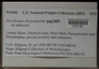 Image Associated With the Occurence